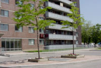 Jag Mohan & Associates - 110 Mornelle Court &ndash; Toronto, Ontario